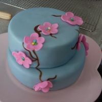 Dscn4605.jpg blue buttercream fondant with pink fondant fowers.