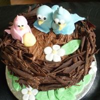 Birds Nest Cake This was made for a friends wedding anniversary- as it was 5 years we thought that we'd make wood from Chocolate and it developed into...