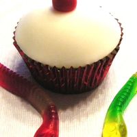 Gone Fishing! Fishin bobber cupcakes made of white cupcakes in red foil liners. Small amount of buttercream helps secure a round circle of white...