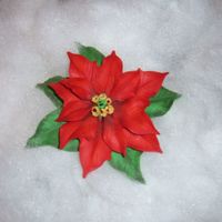 Gumpaste Poinsettia My first gumpaste poinsettia. I made 5 and put them on a wedding cake yesterday. I was very happy with how they turned out and the bride...