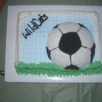 Soccer Goal We coach soccer and this is the end of season cake I did for our Party.