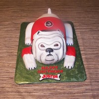 Georgia Bulldog 