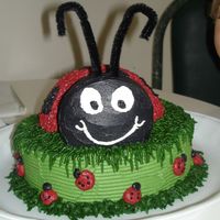 Ladybug Cake Ladybug I made for a friends daughter.