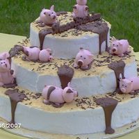 Kayls's 13Th Birthday Pig Cake Pigs playing in the mud, 13th birthday cake.