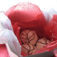 Jusint_Apojspn_Bpjowg.jpg Chocolate cake on vanilla bean frosting.