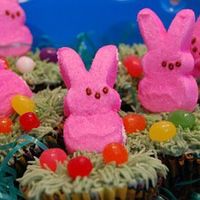 Easter Bunny Cupcakes 