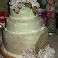 Suzey-Q's Wedding Cake This cake was for my cousin's outdoor wedding. She loves butterflies.