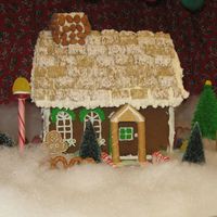 Img_0484_2.jpg I am new to this site but have been decorating cakes etc for years...Just thought I would post a pic of the gingerbread house I made and...