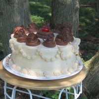 Img_0596.jpg Chocolate Cake with Peanut Butter Icing-Topped with Chocolate Buttercream Rossettes and chocolate scrolls (made freehand with melted milk...