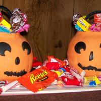 Trick Or Treat Pumpkin Trick or Treat....