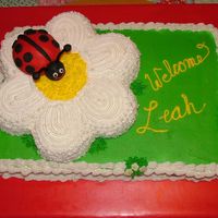 Lady Bug Shower 2 Another view.