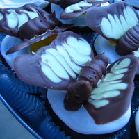 Butterfly Cupcakes, July 24, 2010 chocolate chip chocolate cupcakes with chocolate butterflies. I made these for the children at my niece's wedding.