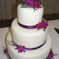 Purple Orchids 071109 