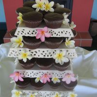 Chocolate Cupcakes With Frangapani's Chocolate mud cupcakes with chocolate ganache. Cupcakes are decorated with real frangapani's courtesy of my lovely neighbours.