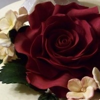 Gumpaste Rose Rose was made white and colored with burgundy petal dust.