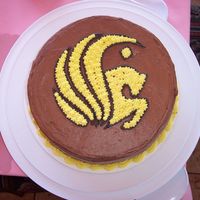 Ucf Graduation Cake Kahlua and yellow marbled cake with chocolate bc and kahlua bc for the filling and decorations. Inspired by eriksmom's UCF grad cake...