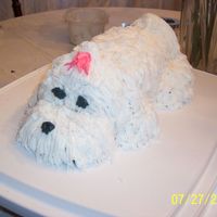 My Maltese Cake This is for my best friend Leah, to look like her little Fritz :)