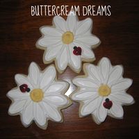 White Daisies W/ Lady Bugs 08 