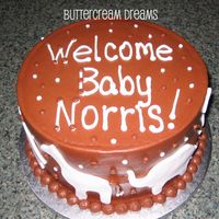 Baby_Norris_Cake_08.jpg 