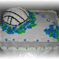 Volleyball/bluebonnets chocolate with raspberry filling for sheet, french vanilla with strawberry for volleyball. Done in all bc. Done for a dear friend who was...