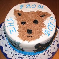 Dog Cake Did this for a coworker's wife's b-day. My interpretation of their dog and two cats.All buttercream. Used grass tip for fur.