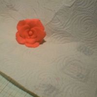 My First Attempt At A Fondant Rose I had some leftover fondant and I decided to try these instead of waiting for someone to teach me.Advice and criticism welcome