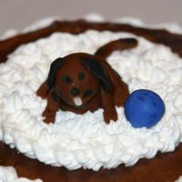 Doggie Figure Another attempt at making a dog out of fondant. Not bad considering it was 3am when I made him.