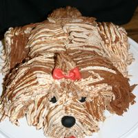 My First 3D (Kinda) Cake This is my attempt at the puppy dog cake. I used two 4" cakes and one 5" cake. Chocolate sour cream cake with chocolate and...