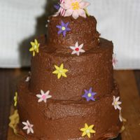 Rachel's Birthday Cake This is the cake I made for my daughters second birthday. WASC 5",4"3" with chocolate frosting. First time stacking a cake....