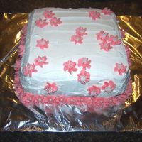 My First Wilton Cake (2Nd Class) This is the first cake I made for my Wilton Course 1 class.