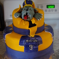 Jmu Duke Dog Cake's covered in BC and fondant. Head made of RKT and fondant.