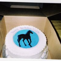 Black Horse handpainted black horse, done for a teenagers birthday