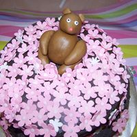 My First "non-Family Member Cake!" I know it's not perfect, but I wanted to make a cake for a coworker's baby shower. I found the idea at Pink Cake Box and LOVED it...