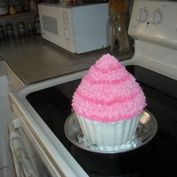 Giant Cupcake 