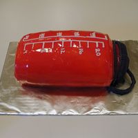 Nalgene Waterbottle Ok, one other cake that I did for my bro's graduation. A Nalgene Waterbottle. Don't know about the rest of the nation, but...