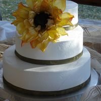 Sunflower And Velvet Dummy cake used for my first bridal show. I managed to catch the only good lighting on my porch for this shot.