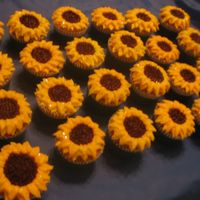 Daisy Cupcakes 
