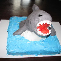 A Shark Named Gary Busey I made this for my son's 7th birthday...I know it's not perfect, but he loved it and that's all that matters. =). The shark...