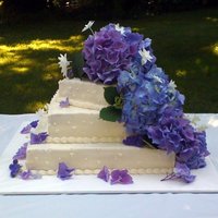Hydrangea Cake White cake with crusting cream cheese frosting and raspberry filling. Hydrangeas are real, clipped from plants that will be planted in...