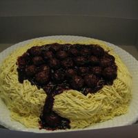 Spaghetti Cake my second Spaghetti cake the sauce came out much darker than my first. I always have fun making this cake, I have also put chocolate...