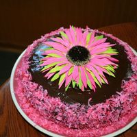 Chocolate On Chocolate Loved the pink and brown color scheme. Made this for my neighboor's daughter. Ran out of time so I had to cheat and use a silk flower...