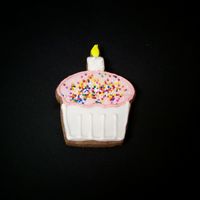 Birthday Cookies These are birthday cupcake cookies that I made for my own birthday.They are NFSC with cocoa and RI.