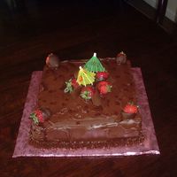 My_Cakes_014.jpg my first chocolate cake ever and it was for a pool party!