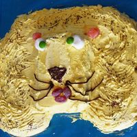 Ayden's Lion Cake this was made four years ago when I was just starting to get into decorating It is out of the womans weekly cake book