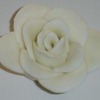 Fondant Rose my 1st attempt at a rose