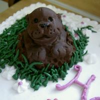 Ground Hogs Day Birthday Made completly from chocolate plastic, using candy melts. It was for a birthday that took place on Feb. 2. Thought it would be cute to make...