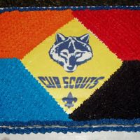 Cub Scout Cake I made this for my son's scout awards banquet. The colors are based on the badge colors for Tiger, Wolf, Bear and Webelos. The emblem...