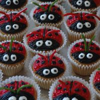 Ladybug Cupcakes! A white cake and bc icing. I used shoelace licorice for the antena!