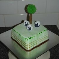 Sheep Farm made for my brother in law - sheep farm!