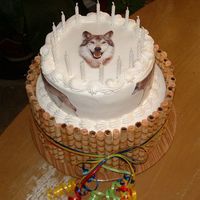 Wolf Birthday Cake This was a very "last minute" order... If it hadn't have been a close friend of mine, I probably would not have done it, but...
